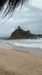 Morning beach life captured at Thalaramba, Sri Lanka