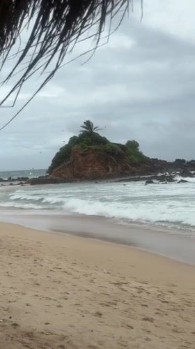 Morning beach life captured at Thalaramba, Sri Lanka
