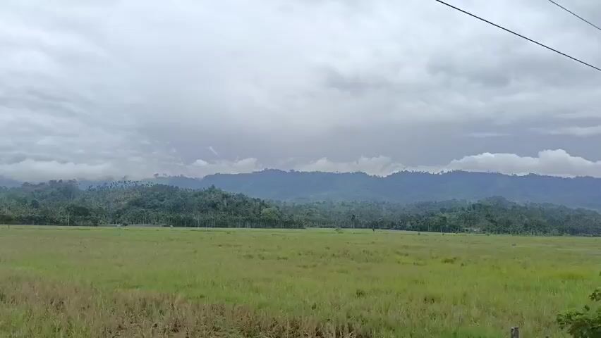 A wide landscape shot captures a vast, green field under a cloudy sky. In the background, a range of lush, green mountains stretches across the horizon, with some areas shrouded in mist. The foreground features a solitary tree with sparse leaves, and to the far right, a small, simple wooden house with a red roof is visible. The field appears to be a rice paddy or a similar type of cultivated land. The overall scene suggests a rural and natural environment.