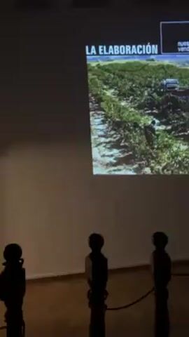 The video depicts an indoor scene with a projector displaying "La Elaboración" above images of vineyards and people working. Initially, the focus is on the projected images, and then the camera pans to show a group of people standing behind a rope barrier, presumably viewing the projection. The room appears to be dimly lit with wooden flooring. The people are of varying ages and dressed in casual clothing. The video ends with them still viewing the projection.