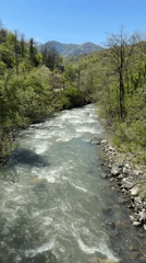 River and railroad bridge documented in rural Georgia