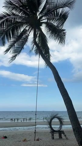 The video shows a tropical beach scene. A large palm tree leans over the sand, with a rope swing hanging from its trunk. The ocean is visible in the background, with several people standing on the shore and in the water. The sky is blue with scattered white clouds. To the right of the frame, a circular sculpture made of branches is mounted on a wooden base. The overall impression is one of a relaxing beach resort or vacation spot.