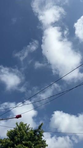 The video shows a daytime view looking up at a blue sky with fluffy white clouds.  A red flag is visible, attached to something below the frame, blowing in the wind.  A green tree with thick foliage is also visible in the lower left portion of the frame, swaying slightly.  Power lines run across the sky.  A street light with a pink shade is visible at the beginning of the video. Wind noise is audible.  The overall impression is that it is a windy day.