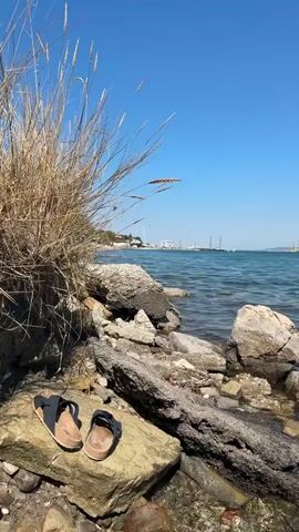 A pair of sandals rests on a rock by the sea. The sandals are dark brown with black straps and appear worn. The rock is large and grey with some smaller pebbles around it. Behind the rock, tall, dry grass with thin stalks blows in the wind. The sea is a deep blue-green color with small waves. In the distance, a clear blue sky stretches over the water. Several sailboats and other vessels are visible on the horizon, along with a few structures that suggest a port or town. The lighting indicates it is daytime with bright sunlight.