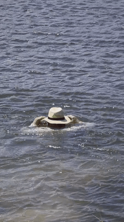 Water rescue incident witnessed at Ba Ngoi Ward lake
