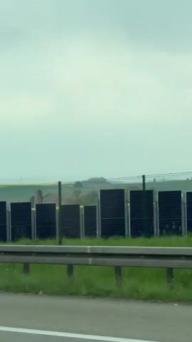 The video, taken from a moving vehicle, captures a rural landscape seen from a highway. In the foreground, a green highway barrier runs parallel to the road. Beyond the barrier, a long row of dark solar panels stands upright. Behind the panels, expansive yellow fields, likely rapeseed or canola, stretch into the distance. A village is nestled amidst these fields, featuring a prominent building with a red-tiled roof and a steeple, suggesting a church. The sky is overcast and grey, indicating a cloudy daytime.

As the vehicle moves, a large, bare tree blurs past on the right side of the frame. Shortly after, a white van, identified by a "Ford" logo on its rear, briefly obstructs the view as it passes. The scene continues to show the solar panels, yellow fields, and the village under the grey sky, consistent with the provided location context of Bad Rappenau, Germany.