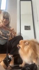 Woman's morning routine with Pomeranian dog captured in Chambœuf