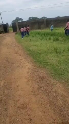 The video shows a group of young people in a grassy field, possibly playing a game. They are wearing similar outfits, with pink shirts and blue pants, suggesting they are a team or a school group. Some individuals are running and interacting with each other. In the background, there is a low wall and a fence, and the sky appears overcast. The ground in the foreground is dirt. The overall impression is of an outdoor activity taking place in a somewhat undeveloped area.