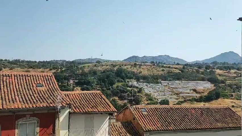 The video captures a view from a rooftop, looking out over a landscape. In the foreground, the terracotta tiled roofs of several buildings are visible. The buildings appear to be residential, with some architectural details like windows and chimneys. Beyond the buildings, the terrain slopes upwards, covered in sparse vegetation, including trees and scrub. A section of what appears to be a solar farm is situated on the hillside, with rows of solar panels visible. In the distance, hills or mountains form the horizon, under a clear blue sky. Several birds can be seen flying in the sky. The lighting suggests it is daytime, likely sunny.