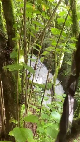 The video pans from a natural setting featuring greenery and running water through a screen or window.  The view then changes to show a structure made of wood, likely a porch or building, that looks out onto the same natural scene.  The camera shakes, but the final shot is of the wooden structure and a glimpse of the view outside, including the running water.