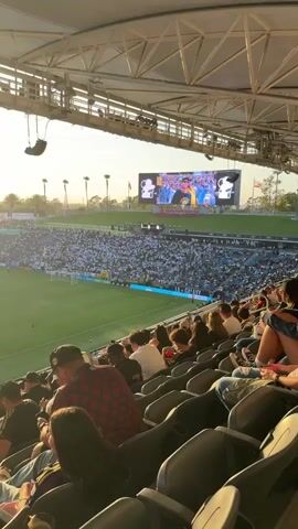 A wide shot shows a crowded soccer stadium under a bright, golden sky, likely during sunset. The camera is positioned in the stands, looking down and across the field. In the foreground, spectators are seated, their backs to the camera, facing the field. Their attire is casual, with many wearing t-shirts and baseball caps. The stands are filled with a large audience, mostly wearing white and black, suggesting they are fans of one team. The field itself is a vibrant green soccer pitch with markings and goalposts visible. A large video screen is mounted high above the field, displaying images of people, possibly players or celebrities, with graphics and icons. Palm trees are visible in the background, silhouetted against the bright sky, and stadium structures with metal beams and lights are overhead. The atmosphere appears to be energetic and festive, typical of a live sporting event.