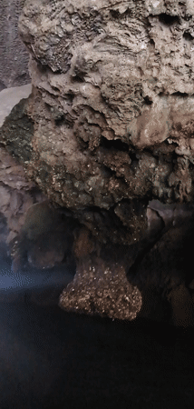 Tourists explore illuminated limestone caves in Vietnam morning hours