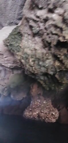 Tourists explore illuminated limestone caves in Vietnam morning hours