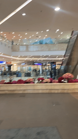 Ordinary afternoon activity documented at Sofia shopping district