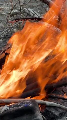 The video captures a close-up, vertical view of a campfire in an outdoor setting. Bright orange flames leap and dance around logs and branches that are actively burning. The background appears to be a rocky, wooded area with fallen branches and dry leaves. The fire is the dominant element, with its intense light and movement filling most of the frame. There are no people or animals visible in the video. The scene conveys a sense of natural, uncontrolled fire.