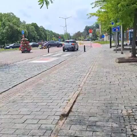 The video shows a street scene with cobblestone pavement. A white car is parked on the right side of the road. In the center of the frame, a car is driving over a pedestrian crossing. On the left side of the road, there are planters with red and pink flowers. Trees line the street in the background. Traffic lights and signs are visible. The sky is cloudy.