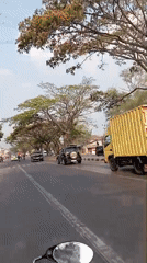 Morning motorcycle ride through Sumedang's tree-lined roads
