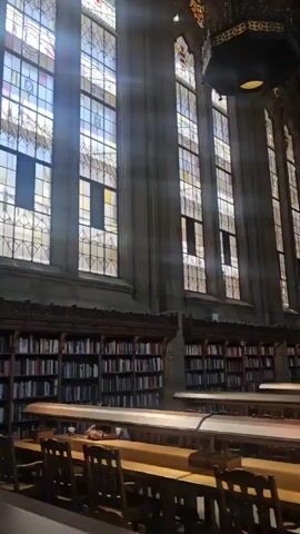 The video shows the interior of a large, ornate library with high ceilings and tall stained-glass windows. Sunlight streams through the windows, illuminating rows of bookshelves lining the walls and large wooden tables with chairs in the main space. Several people are visible walking through the library, some interacting with the bookshelves or tables. The architecture appears to be Gothic, with arched ceilings and decorative lighting fixtures.