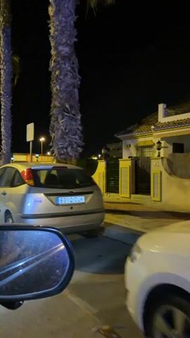 A car drives down a street at night. The street is lined with palm trees. A street light illuminates the scene. The car appears to be a silver Ford Focus. The car's license plate is visible. The video is taken from inside another car, looking out of the passenger side window.