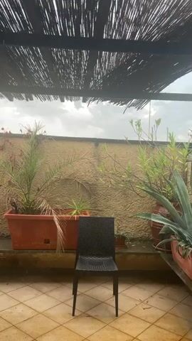 A black plastic chair sits on a tiled patio under a thatched roof. Rain begins to fall, creating puddles on the tiles and hitting the chair. The patio is lined with potted plants, including a palm tree and an agave plant. A textured wall is visible behind the plants. The sky is overcast.