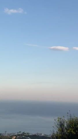 A slow pan reveals a serene coastal landscape. In the foreground, dark green foliage, likely from a conifer, partially obscures the view on the left. As the camera pans right and slightly down, the scene transitions to a vista of the ocean, its surface calm and reflecting the soft hues of the sky. A few small, wispy clouds drift lazily across the pale blue expanse. Towards the middle ground, a gentle coastline curves, dotted with hints of buildings and greenery. In the lower foreground, the camera captures a cluster of vibrant yellow wildflowers, adding a splash of color to the natural beauty. The overall impression is one of tranquility and the peaceful transition from day to evening.