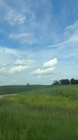 The video shows a view of a rural landscape with a field of green crops under a partly cloudy blue sky. In the distance, there are several long, low buildings that appear to be part of a farm or agricultural facility. A dirt road or path borders the field, with a grassy verge on the side closest to the camera. A line of trees can be seen on the right side of the frame. The camera is moving slightly, as if being held in a moving vehicle. The overall impression is of a quiet, rural setting on a sunny day.