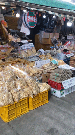 Dog visits traditional market stalls in Daegu, South Korea