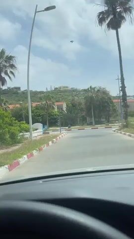 The video, filmed from inside a car, depicts a sunny daytime scene in what appears to be a coastal town, consistent with Loualidia, Morocco. The camera initially shows a road with a distinct red and white painted curb. Beyond the curb, there's a small patch of dirt and a low, blue and white painted concrete structure. Several tall palm trees are visible, along with lush green foliage. In the background, buildings with light-colored walls and reddish-brown roofs are scattered across a green hillside under a partly cloudy sky. The camera then briefly captures a portion of the car's interior, including the A-pillar, dashboard, and steering wheel, before panning further to the right. The final shot reveals more of the roadside, additional palm trees, and more distant buildings, including what looks like a commercial structure and a white van parked on the street. The car appears to be stationary or moving very slowly throughout the clip.