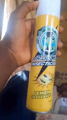 Mr. Gecko lemon insecticide can held up for inspection