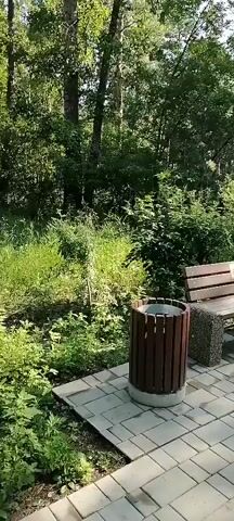 The video shows a walking path in a park or wooded area. The path is made of light-colored pavers. To the left of the path, there is a wooden trash can with a metal liner and a park bench made of wood and stone. Dense green foliage and trees line the path. The sun is shining, casting shadows on the path. The camera pans from right to left, showing more of the path and the surrounding vegetation.