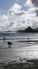 Morning scenes captured at Selongbelanak beach, Indonesia