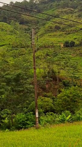 The video shows a view from a moving vehicle, likely a train or car, of a lush, green hillside. The hillside is covered in trees and vegetation, and some terraced farming is visible. Utility poles and wires are present in the foreground. The sky appears overcast.