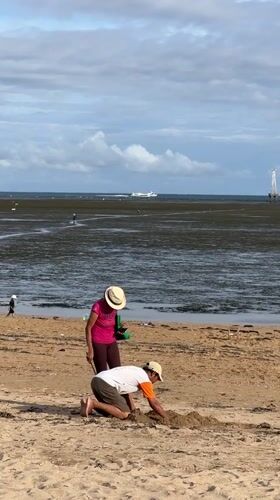 Morning beach activities observed in Denpasar, Indonesia