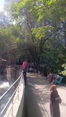 A wide shot shows a park-like area with a river on the left. A person stands on a walkway overlooking the river, holding a bunch of pink balloons. Further down the walkway, a group of people are seated on benches. Trees with green leaves line the walkway, and the sun casts shadows on the ground. The river appears to be flowing rapidly.