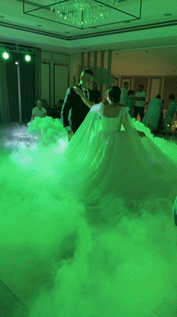Wedding reception underway in Băcioi, Moldova
