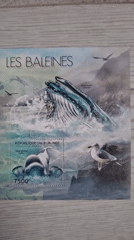 Collector displays marine-themed postage stamps in Pleven, Bulgaria