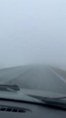 Driver encounters heavy fog on wet Russian road