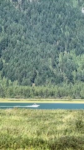 The video pans across a landscape featuring a body of water, a grassy foreground, and a densely forested mountain in the background. A small white boat is visible moving across the water, leaving a wake behind it. The sky is clear and blue.