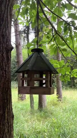 A wooden bird feeder hangs from a tree branch in a forest. The feeder has a green roof and wooden sides. The background is filled with trees and green grass. The camera pans slightly from left to right, showing the feeder suspended in the air.