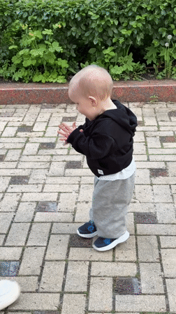 Family enjoys afternoon park visit in Donetsk