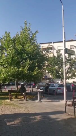 The video shows a street scene with a lamppost in the foreground. A sign on the lamppost reads "ИЗВРШИТЕЛ КАТЕРИНА КОКИНА" with an arrow pointing to the right. To the left of the lamppost, there is a bench with a person sitting on it. There are trees and buildings in the background, and several cars are parked along the street. The sky is clear and blue.