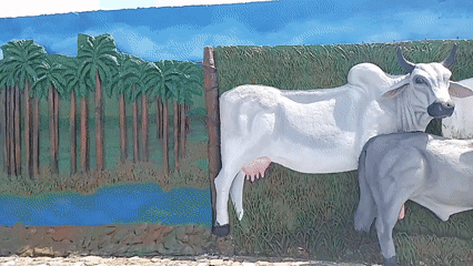 Cattle mural spotted at Tinaquillo, Venezuela town entrance