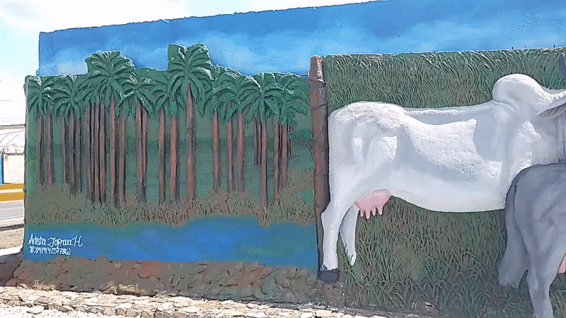 Cattle mural spotted at Tinaquillo, Venezuela town entrance