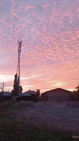 The video shows a sunset with a pink and orange sky filled with small, wispy clouds. A tall cell tower stands to the left of the frame, with a few buildings and trees in the middle ground. The foreground is a patch of dark grass and dirt. The scene appears to be rural or semi-rural.