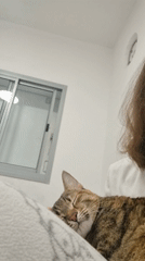 Woman tenderly interacts with tabby cat in Ramat Gan bedroom