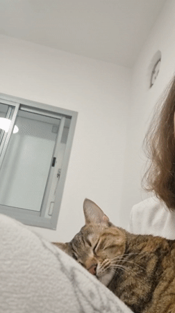 Woman tenderly interacts with tabby cat in Ramat Gan bedroom