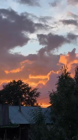The video shows a view of a sunset with dramatic orange and pink clouds. Silhouetted trees and parts of buildings are visible in the foreground, obscuring the bottom portion of the frame. The sky dominates the scene, with various cloud formations catching the light of the setting sun. The overall mood is serene and picturesque.