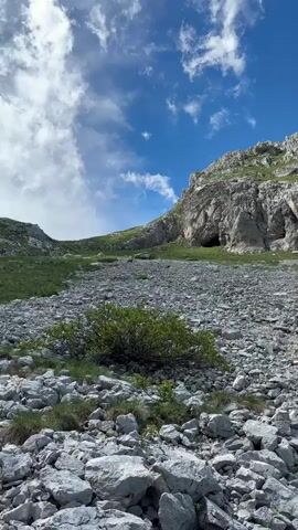 A lone chamois walks across a rocky slope with green vegetation and a large cliff face in the background. The sky is blue with scattered clouds.