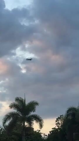 A low-angle shot shows an airplane flying in a cloudy sky with palm trees in the foreground. The sky is mostly gray with some pink tinges near the horizon. The plane is dark against the sky and appears to be a passenger plane. The palm trees are silhouetted against the sky. Someone is speaking but the words are difficult to understand.