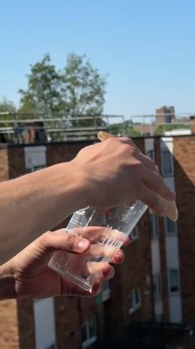 Butterfly released from a London Pride pint glass